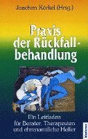 bokomslag Praxis der Rückfallbehandlung