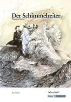 bokomslag Der Schimmelreiter, Theodor Storm