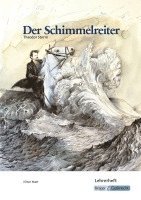 bokomslag Der Schimmelreiter, Theodor Storm