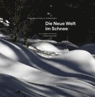 bokomslag Die Neue Welt im Schnee