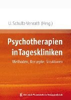 bokomslag Psychotherapien in Tageskliniken