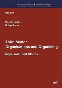 bokomslag Third Sector Organisations and Organising