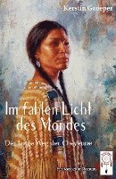 bokomslag Im fahlen Licht des Mondes