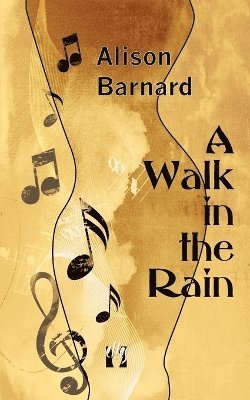 bokomslag Walk in the Rain