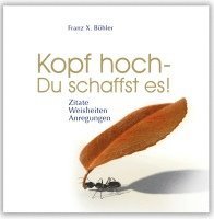 bokomslag Kopf hoch - Du schaffst es