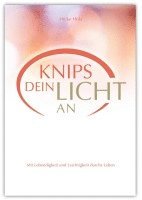 bokomslag Knips dein Licht an