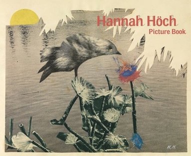 bokomslag Hannah Hoch