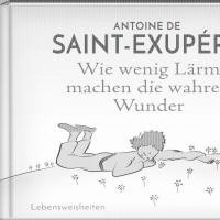 bokomslag Wie wenig Lärm machen die wahren Wunder