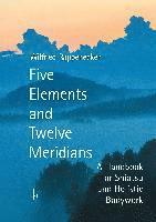 bokomslag Five Elements and Twelve Meridians