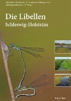 bokomslag Die Libellen Schleswig-Holsteins