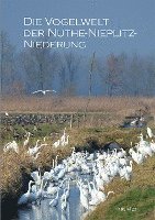 Die Vogelwelt der Nuthe-Nieplitz-Niederung 1