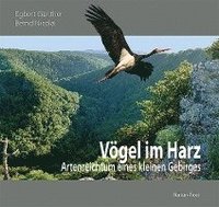 bokomslag Vögel im Harz