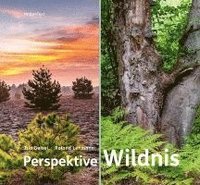 bokomslag Perspektive Wildnis