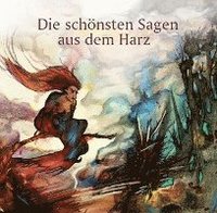 bokomslag Die schönsten Sagen aus dem Harz