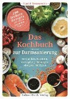 bokomslag Das Kochbuch zur Darmsanierung