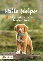 Hallo Welpe! 1