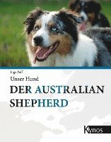 Der Australian Shepherd 1