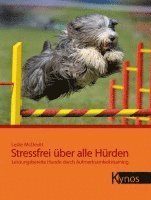 Stressfrei über alle Hürden 1