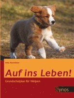 Auf ins Leben! 1