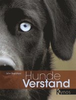 bokomslag Hundeverstand