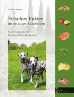 bokomslag Frisches Futter für ein langes Hundeleben