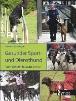 bokomslag Gesunder Sport- und Diensthund