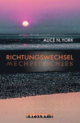 Alice N York - Richtungswechsel, Häftad