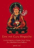 bokomslag Eins mit Guru Rinpoche