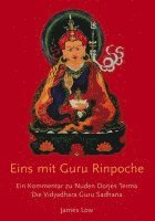 James Low, Nuden Dorje Drophan Lingpa, Chhimed Rigdzin Lama - Eins mit Guru Rinpoche, Häftad