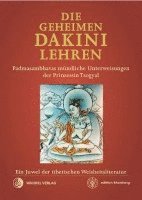 bokomslag Die Geheimen Dakini-Lehren