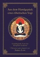 James Low - Aus dem Handgepäck eines tibetischen Yogi, Häftad