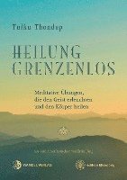Tulku Thondup - Heilung Grenzenlos, Häftad