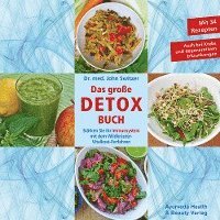 bokomslag Dr. med. John Switzer Das große DETOX BUCH