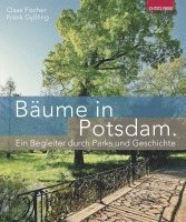 Bäume in Potsdam 1