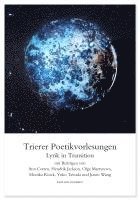 bokomslag Lyrik in Transition: interkulturelle Erkundungen