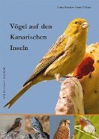 bokomslag Vögel auf den Kanarischen Inseln