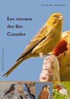 bokomslag Les oiseaux des îles Canaries
