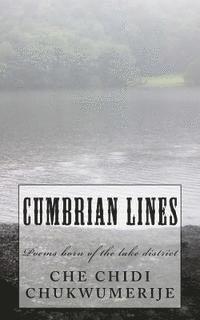 Cumbrian Lines: Poems born of the lake district 1