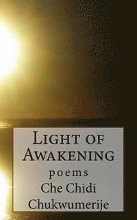bokomslag Light of Awakening