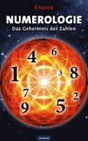 bokomslag Numerologie - Das Geheimnis der Zahlen