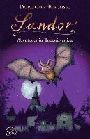 Sandor 02. Abenteuer in Transsilvanien