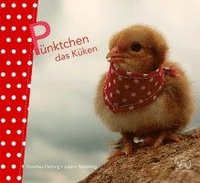 bokomslag Pünktchen das Küken