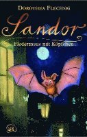 bokomslag Sandor - Fledermaus mit Köpfchen