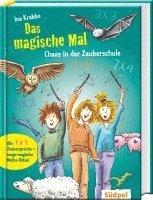 bokomslag Das magische Mal - Chaos in der Zauberschule