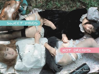 bokomslag Sweet Maids Hot Dreams