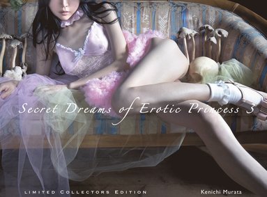 bokomslag Secret Dreams of Erotic Princess 3