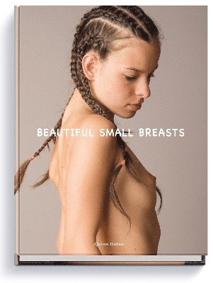 bokomslag Beautiful Small Breasts