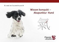 bokomslag Wissen kompakt - Akupunktur Hund