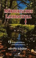 Pit Schäfer - Mörderisches Lambachtal, Häftad