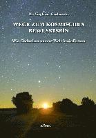 Wege zum kosmischen Bewusstsein 1